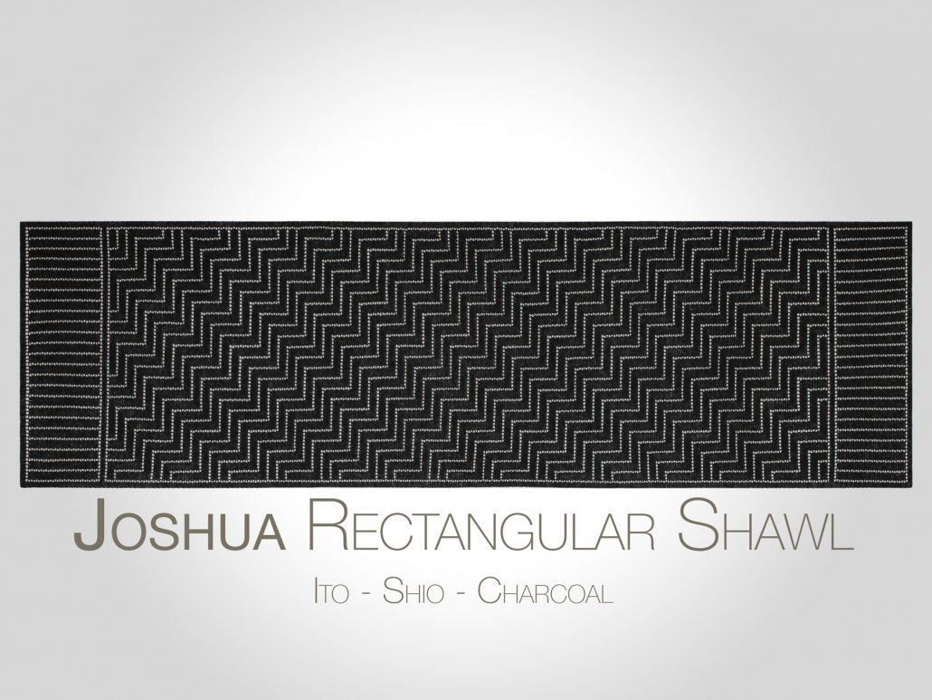 JOSHUA by Steve Rousseau